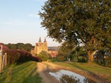 f_zomeraviothbldh_1
